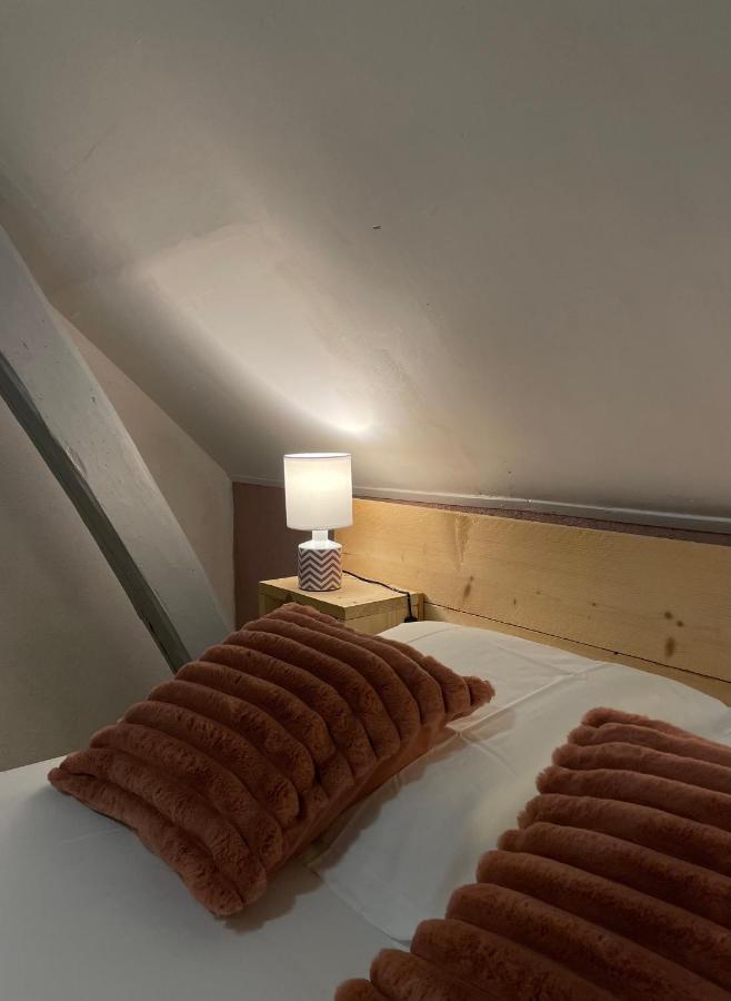 La Maison des lilas, 5 mn de Beauval Saint-Aignan  Extérieur photo